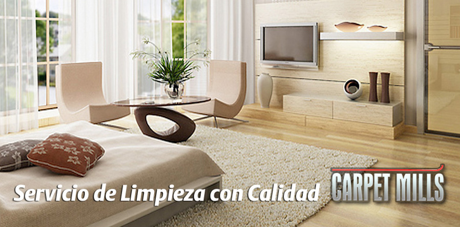 Tratamiento de limpieza con calidad